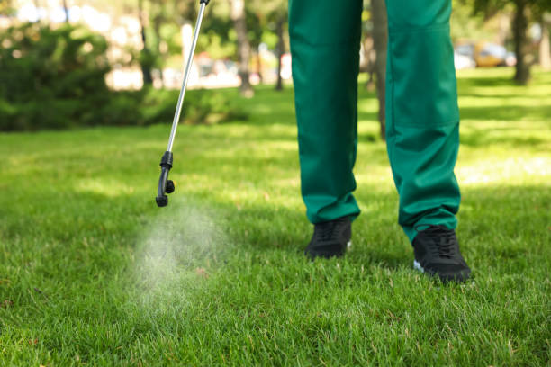 Pest Control Cost in Jackson, CA